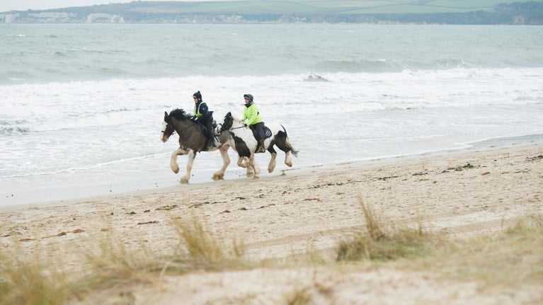 Visitors horse riding on Knoll beach at Studland Bay, Dorset